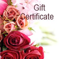 $480 Gift Certificate