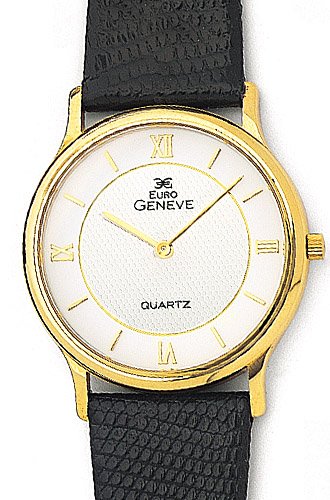 Euro Geneve 14K Gold Watch with Leather Strap