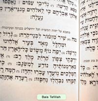 White Antique Leather Tehillim