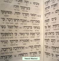 White Antique Leather Tehillim