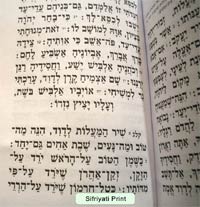 Antique Leather Tehillim - Burgundy